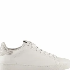 Store Glammy Women Sneakers