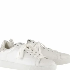 Store Glammy Women Sneakers