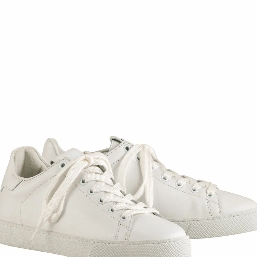 Store Glinty Women Sneakers